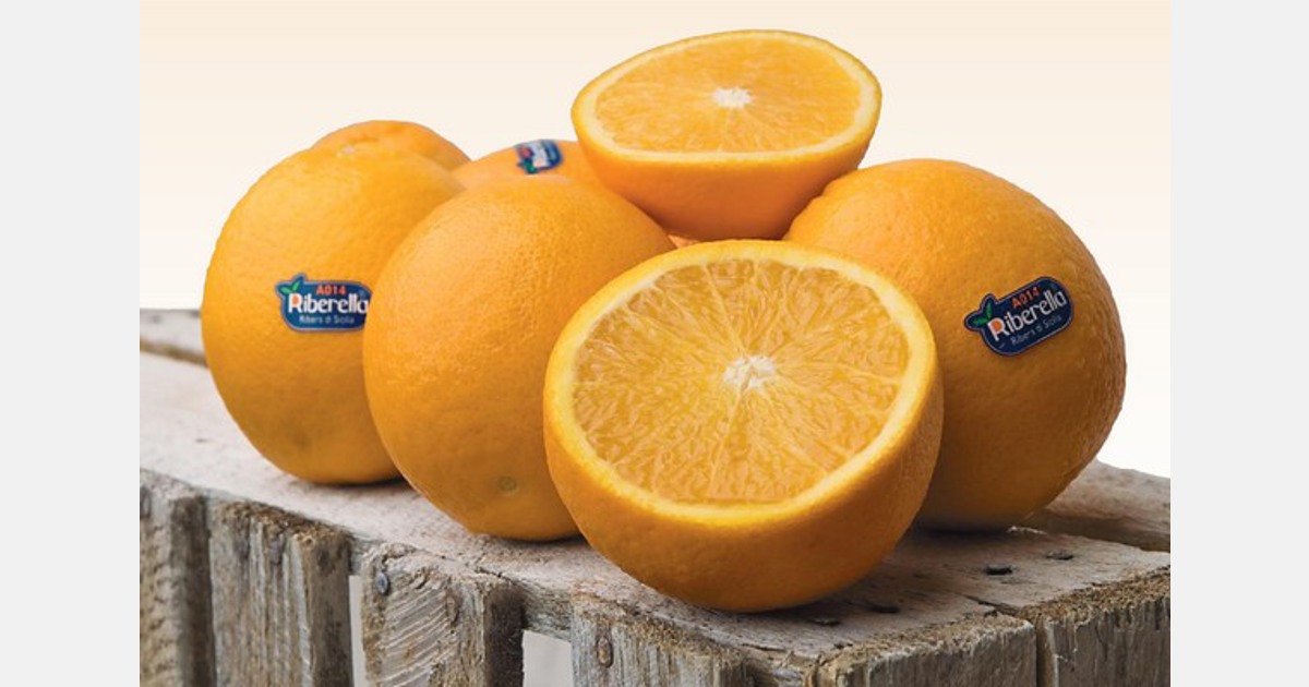 High demand for Sicilian oranges and blood oranges in Germany and France