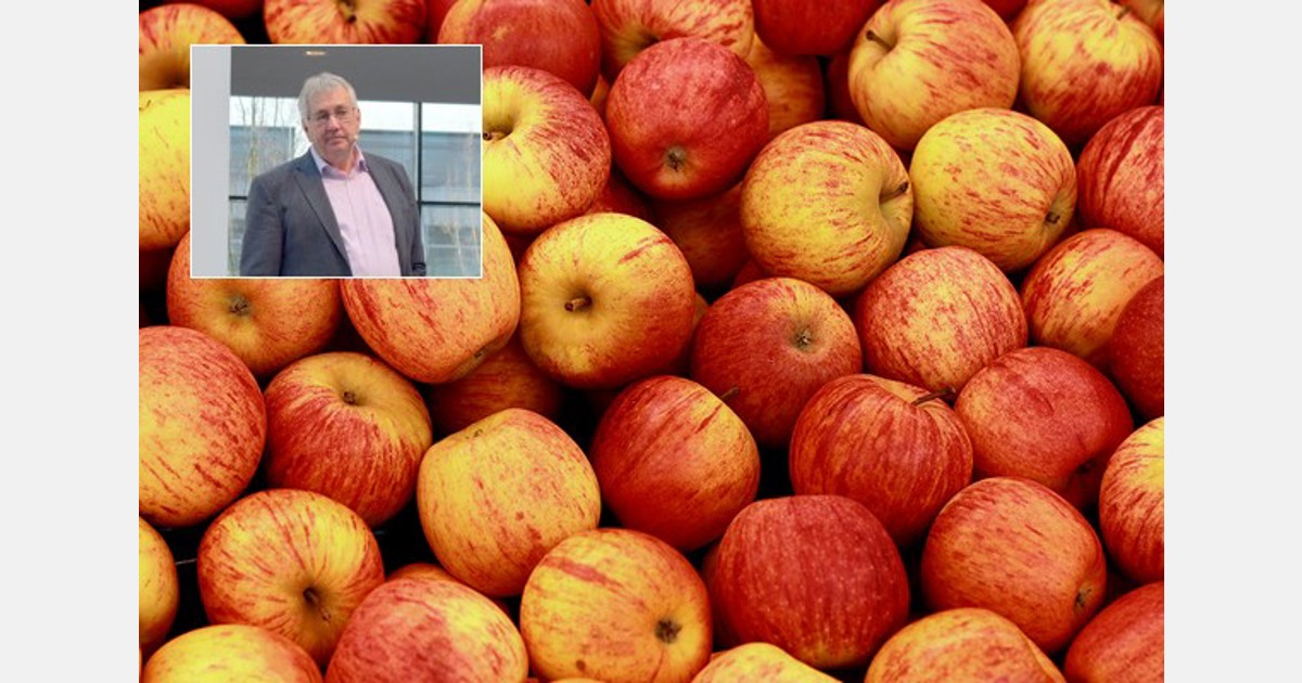 „Bio-Apfelanbau in Deutschland kann leicht ausgeweitet werden“
