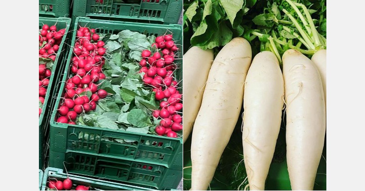 “D'inverno c'era abbondanza di ravanelli a buon mercato provenienti dall'Italia.”