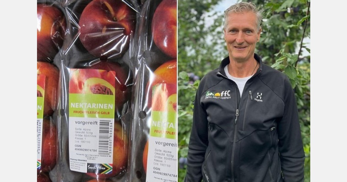 "Force majeure at the logistics level is affecting business"