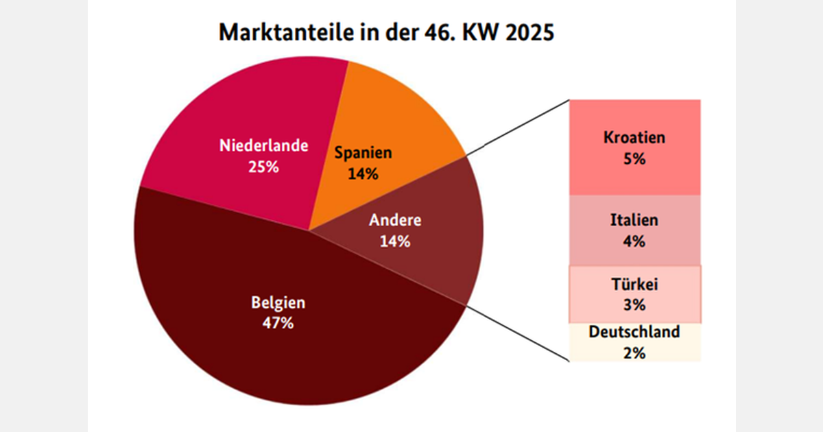 'Spanish deliveries intensified noticeably, but Belgian and Dutch tomato deliveries still dominated the market'
