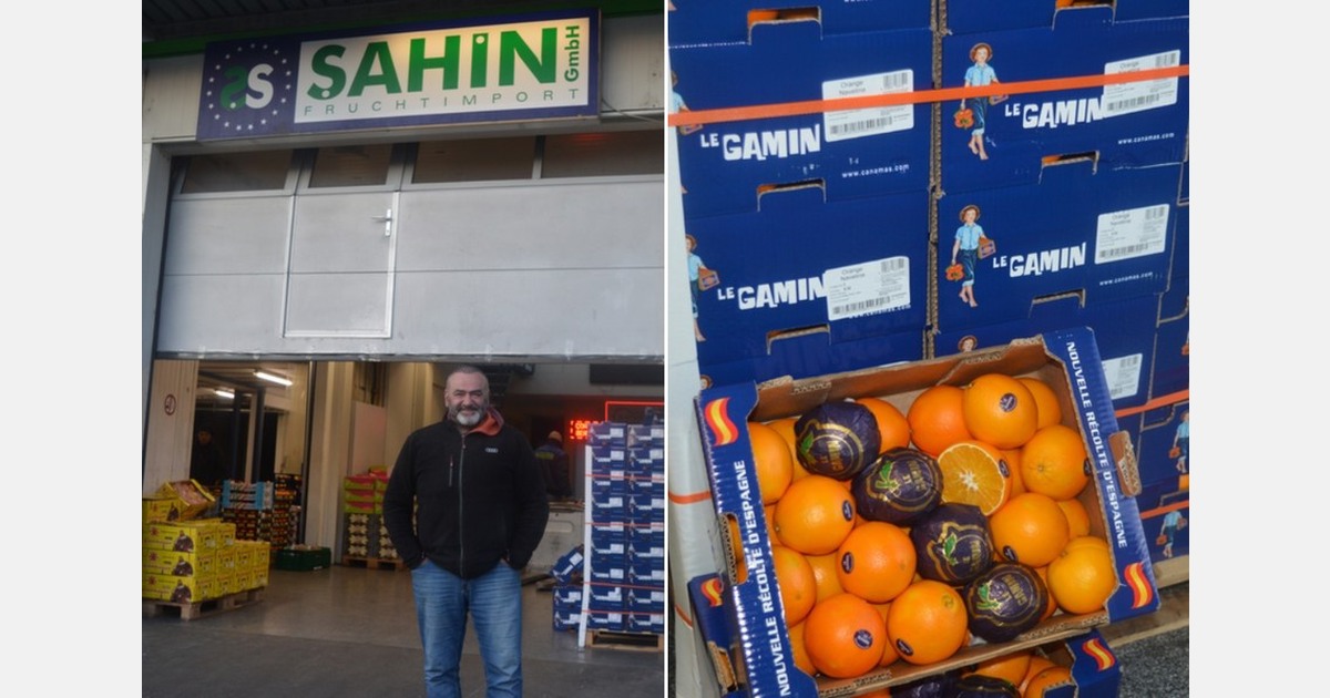 "We are now offering Iranian kiwis for the first time as an inexpensive alternative to New Zealand"