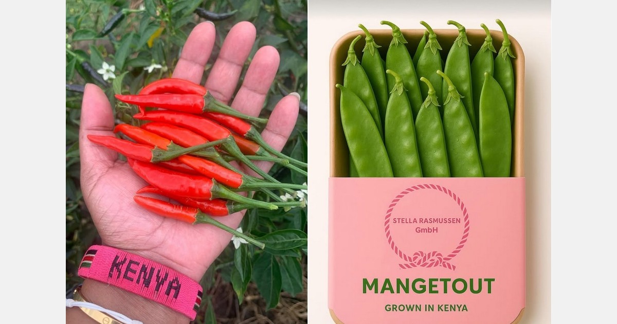 "Stable supply and good quality at the start of the Christmas season"