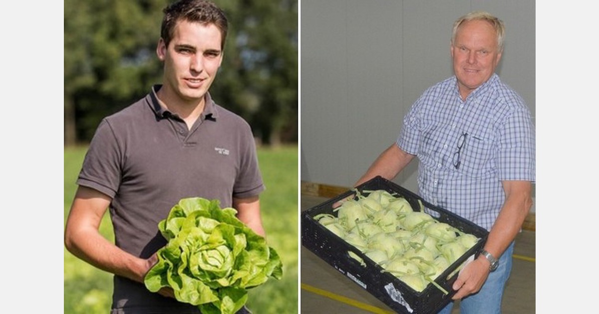 German growers, traders and retailers launch partnership model for sustainable vegetable cultivation