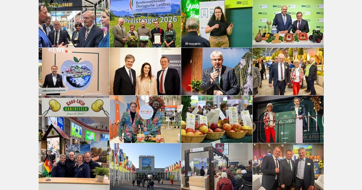 Significant increase in visitor numbers compared to last year