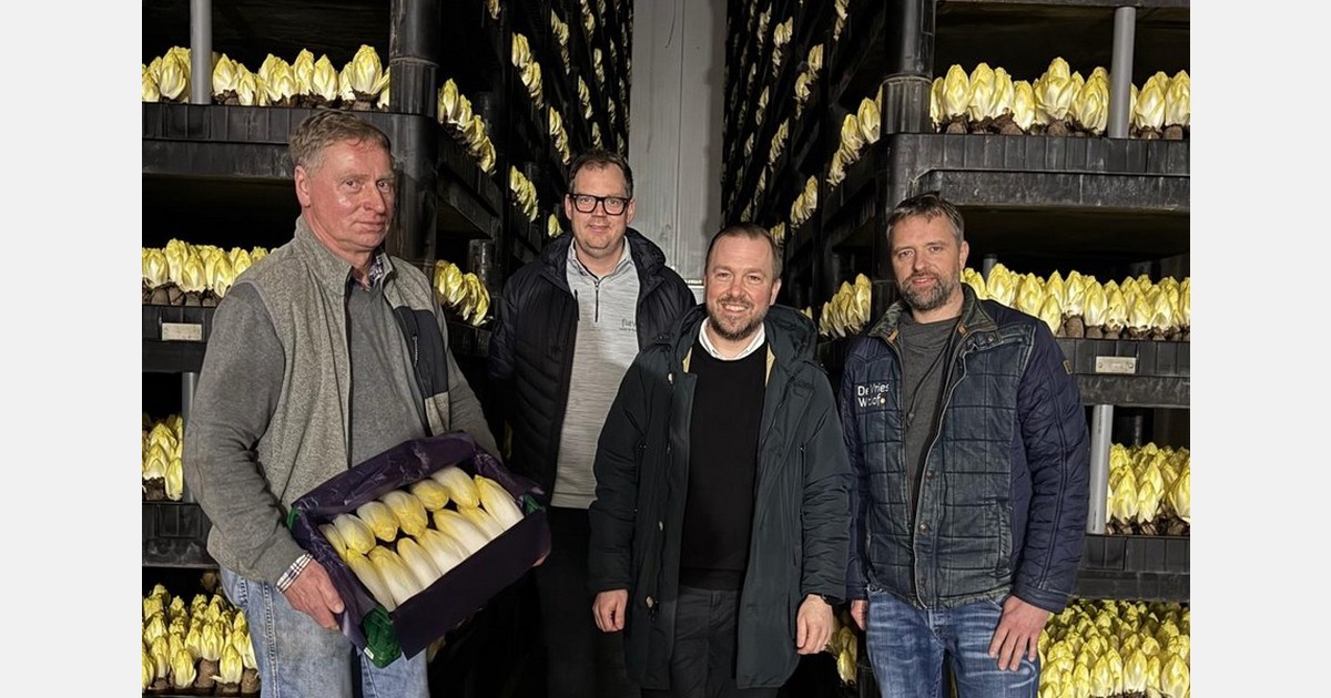 "Endive is increasingly establishing itself as a year-round product"
