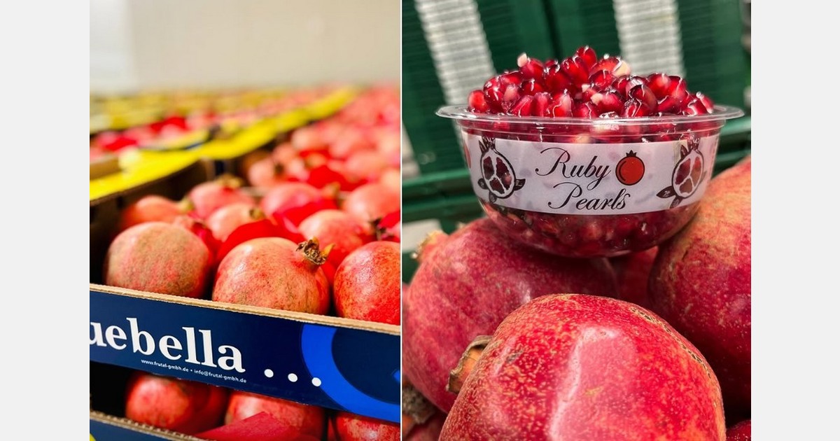 "High demand meets reliable structures"