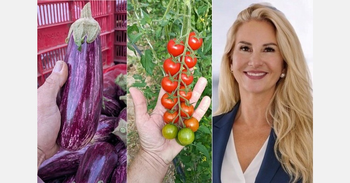 "Actively supporting the further development of the Spanish fruit and vegetable industry"