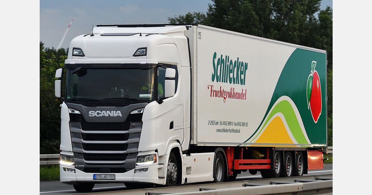 Ситуация на рынке яблок в Германии: продажи растут, цены давят