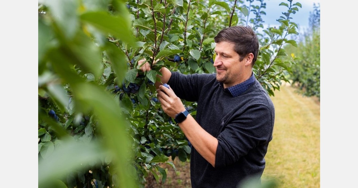 "Cohesion and bundling of forces more important than ever"