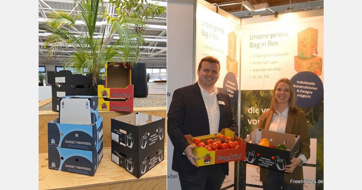 "Rising demand for vegetable trays and bag-in-box solutions"