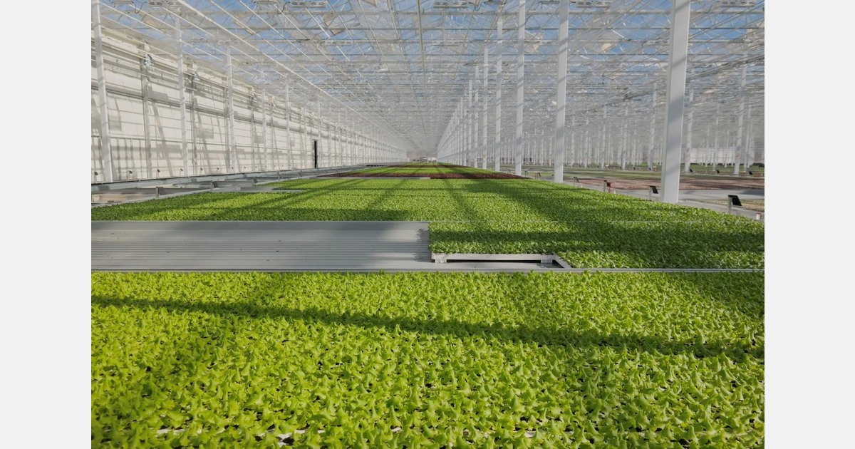 The food of tomorrow is floating