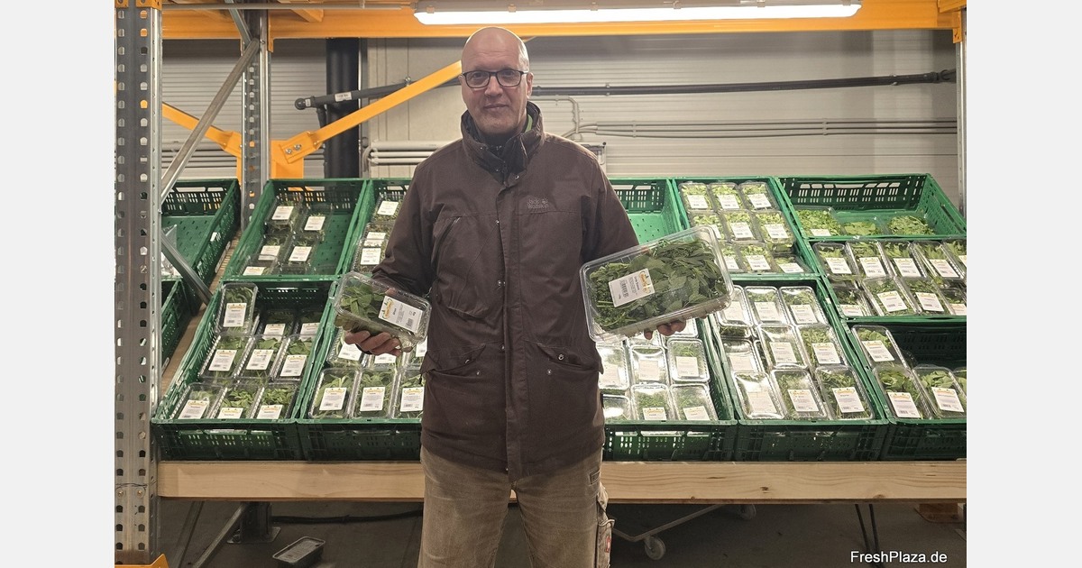 "Year after year, we offer more cut herbs of Italian origin"