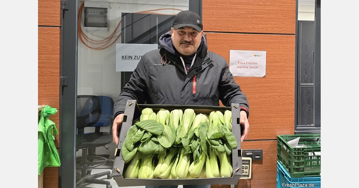 "Dutch greenhouse pak choi available starting in week 11"
