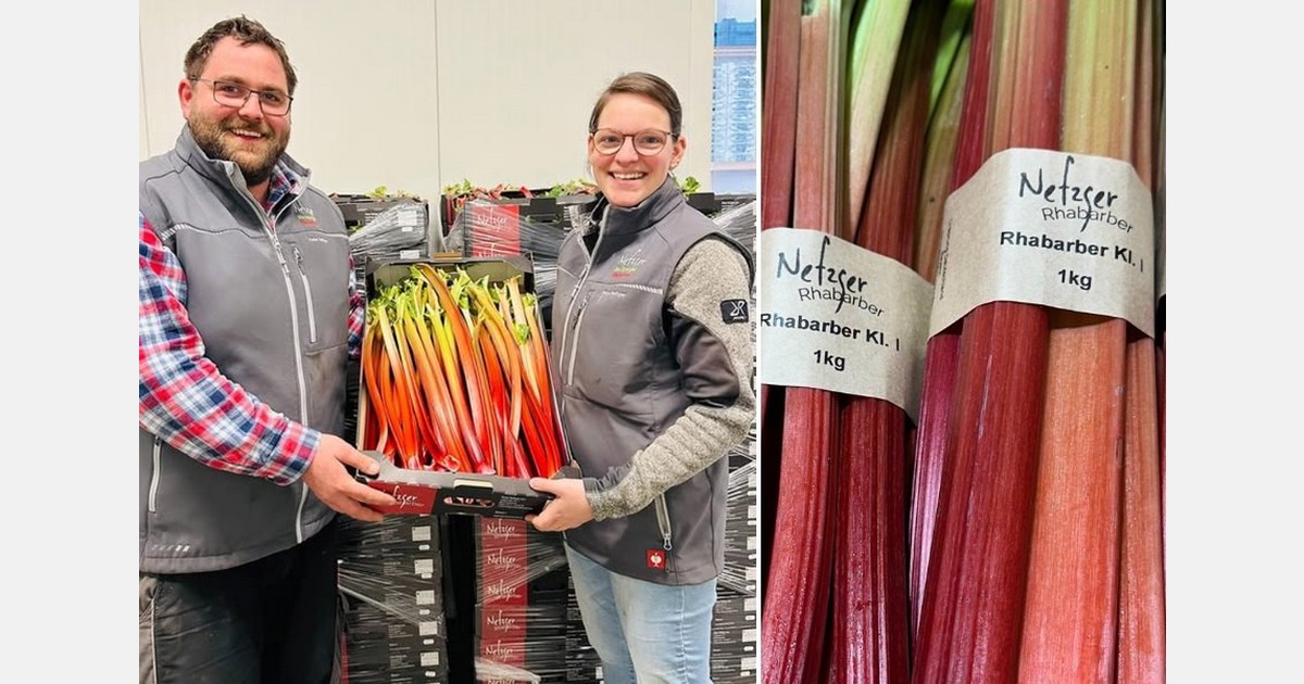 "First promotions featuring regional rhubarb starting this week"