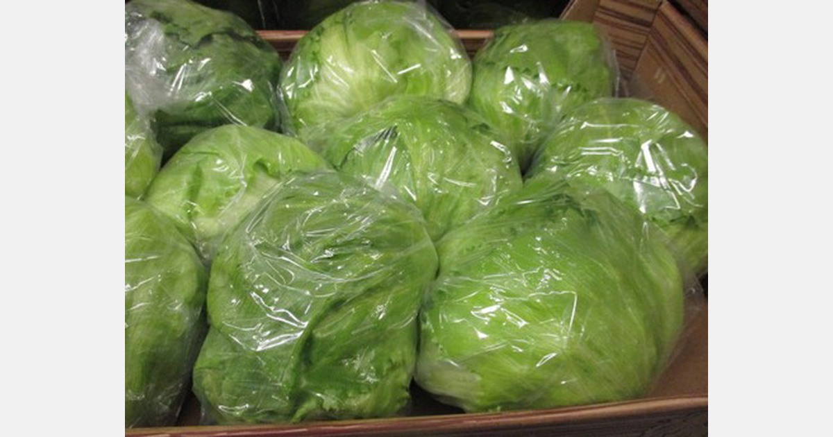 Skyrocketing demand for lettuce in Spanish market