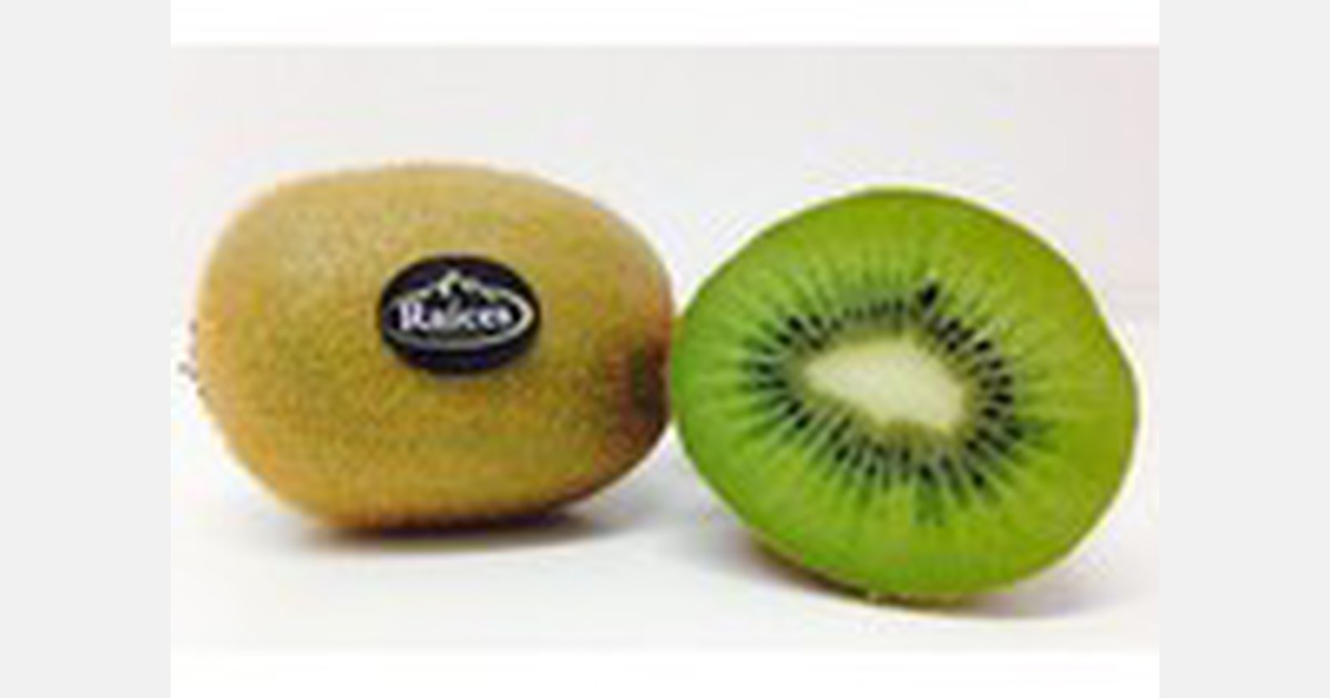 Spanish kiwifruit facing less competition this year