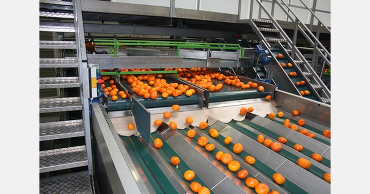 Spanish mandarins close the season with price increases and orange sales remain stagnant