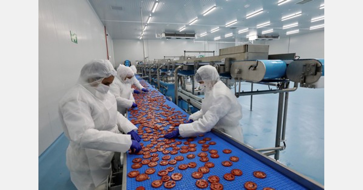 New fruit and veg freezing plant inaugurated in Almeria