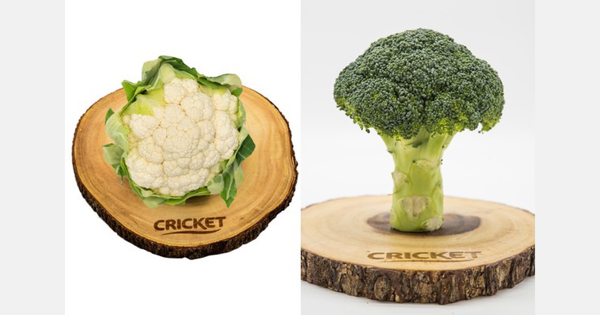 "Cauliflower has become a product for specialists"