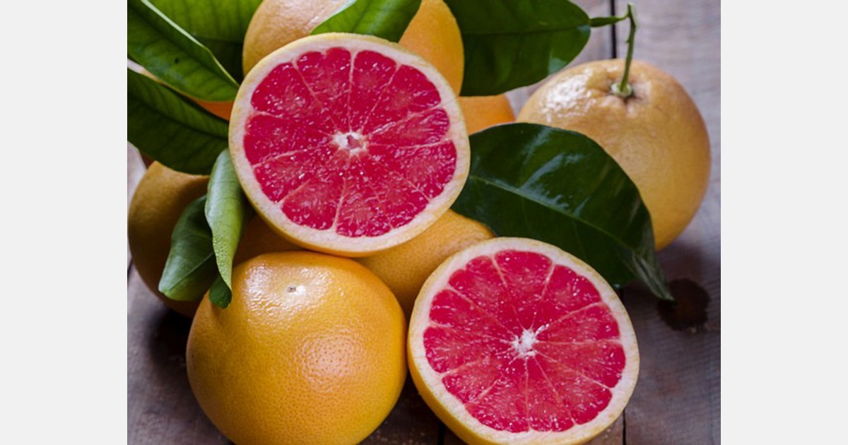 "As long as Florida's grapefruit production is limited, Spanish and South African grapefruit
