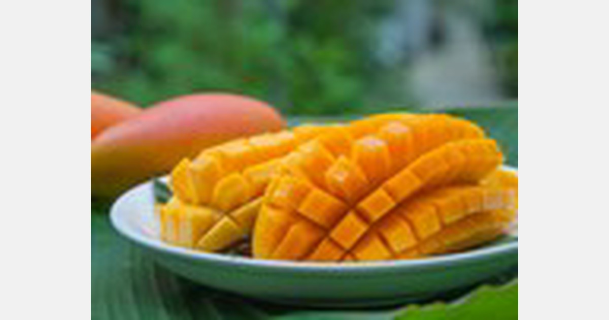 Export of mangoes from Mexico to the United States has recovered