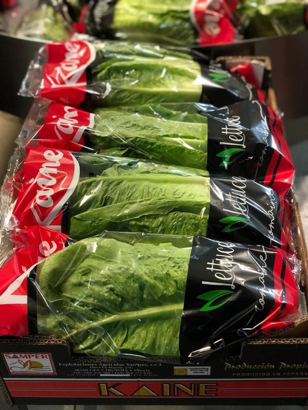 "Next month there could be a shortage of lettuce in the market"