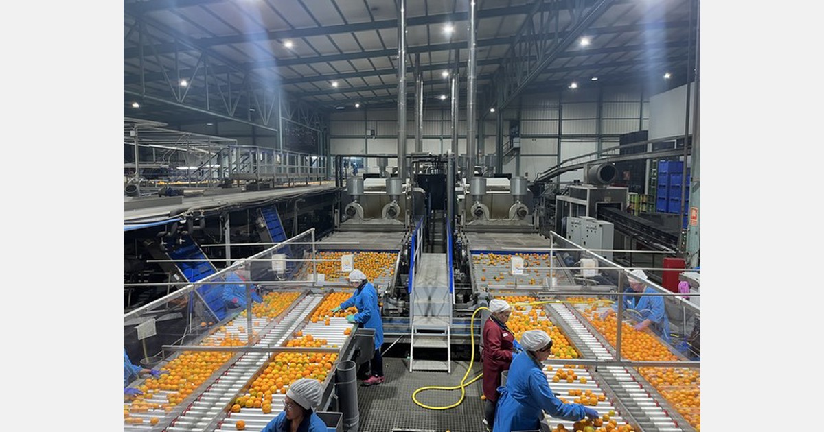 “It's hard to defend orange prices that compensate their high