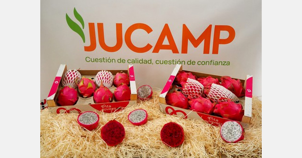 Arranca la campaña de Pitahaya Española en Huelva