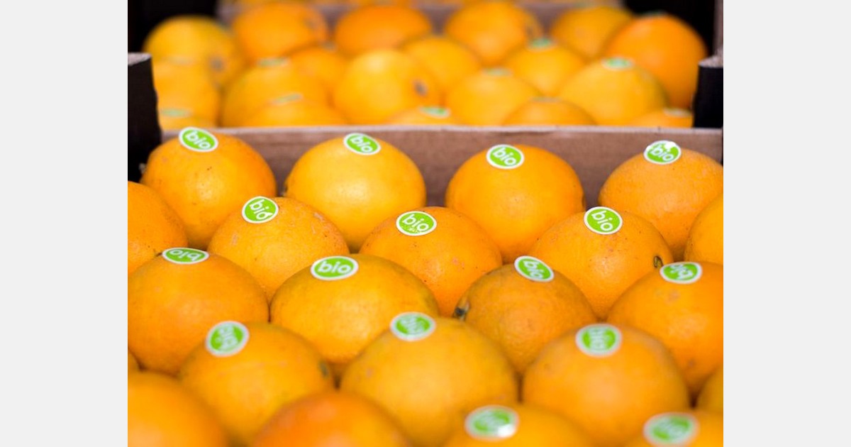 “We hope to be able to pass the high prices of oranges at origin on to supermarket prices”