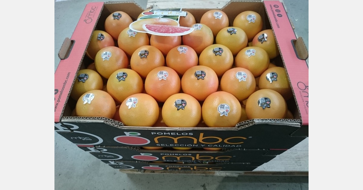 Spanish grapefruit season starts with higher prices and a predominance