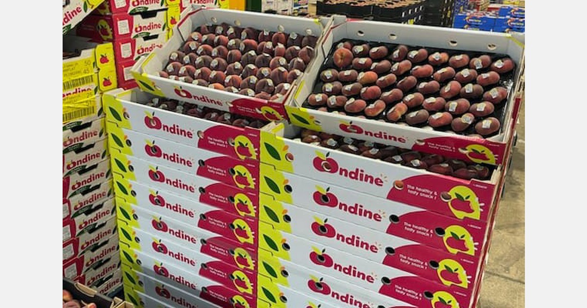 WA Farm Direct launch Australian-Grown Ondine flat stone fruit in China