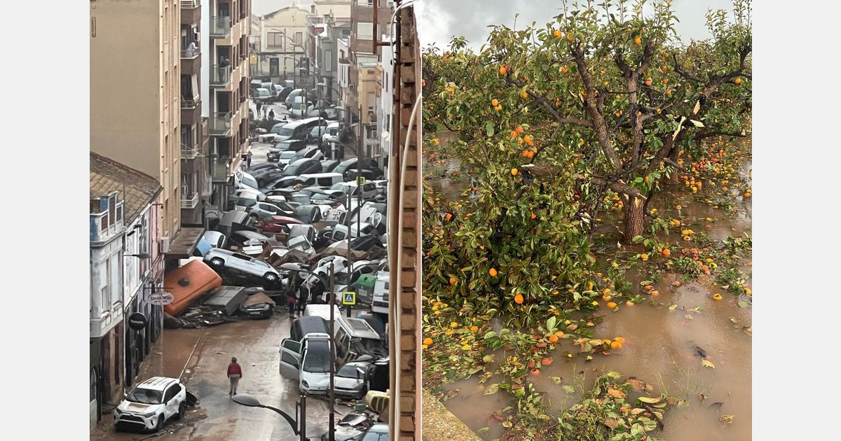 Valencia bears the brunt of the storm, harvesting and commercial