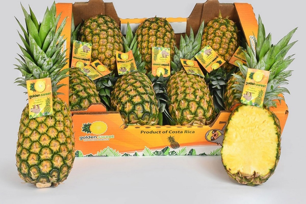 cajapina.jpg?preset=OgImage