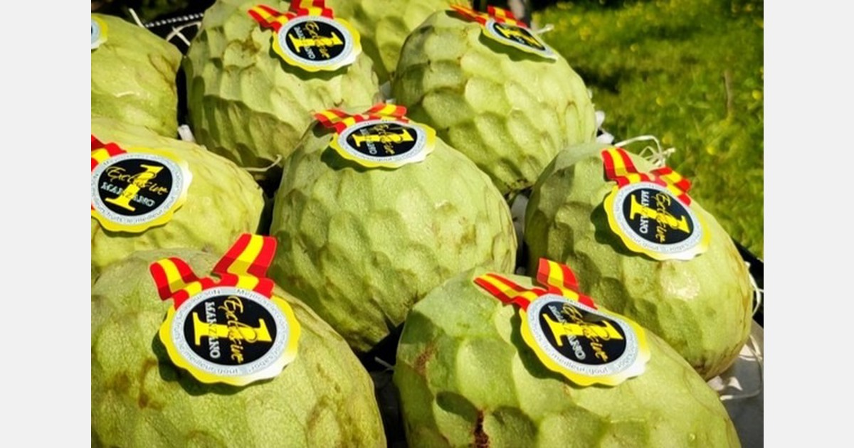 "With the arrival of cold weather, demand for cherimoya is picking up, while supply is also balancing out"