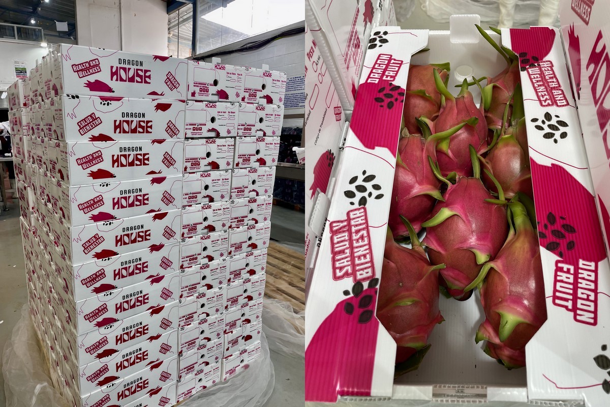2024 has been marked by high volatility in the pitaya market