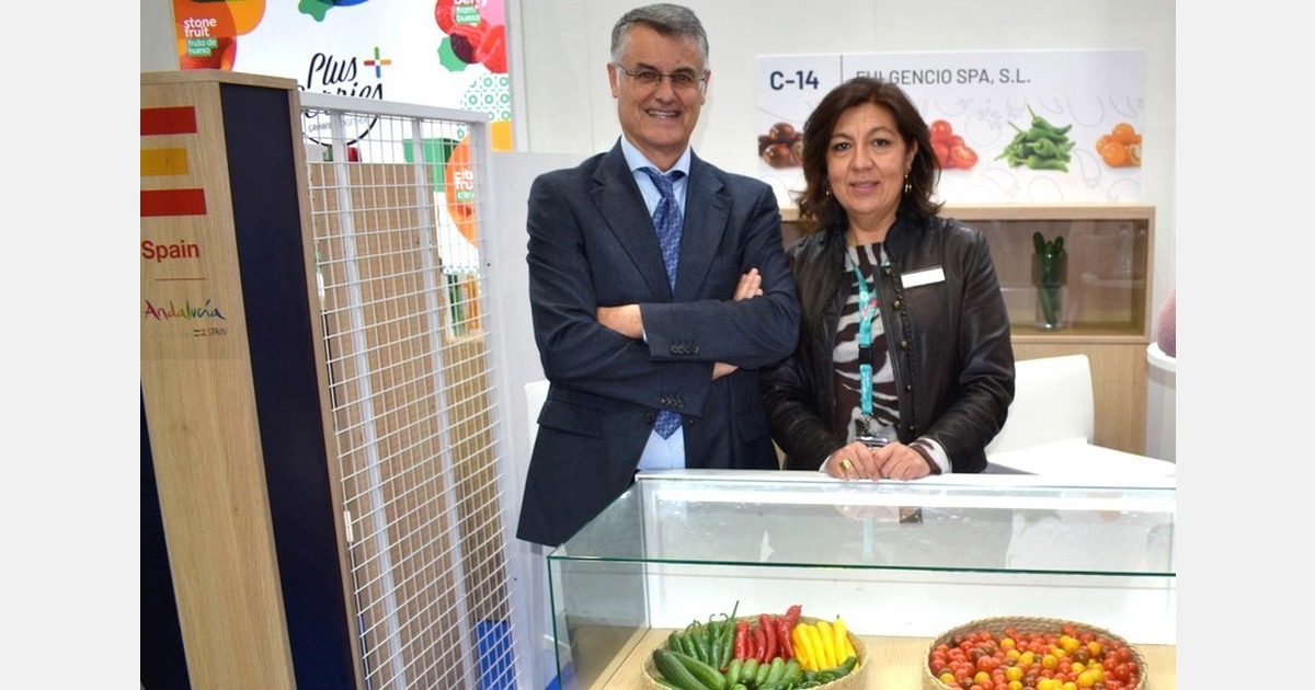 "Low supply of vegetables in Spain and Morocco will continue in February and March"