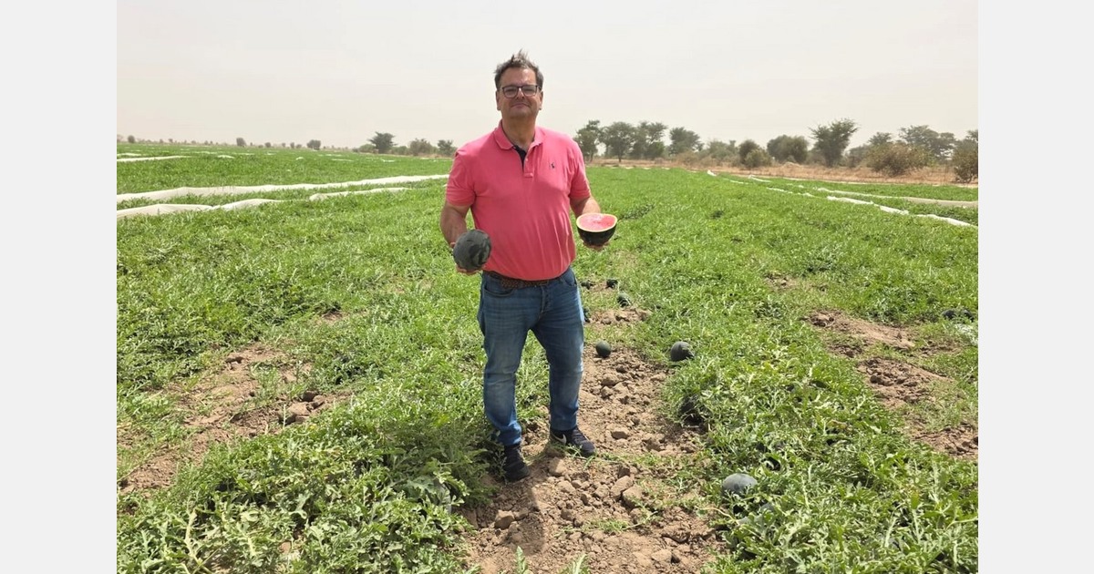 "Watermelon supply has been lower than what the market might need"