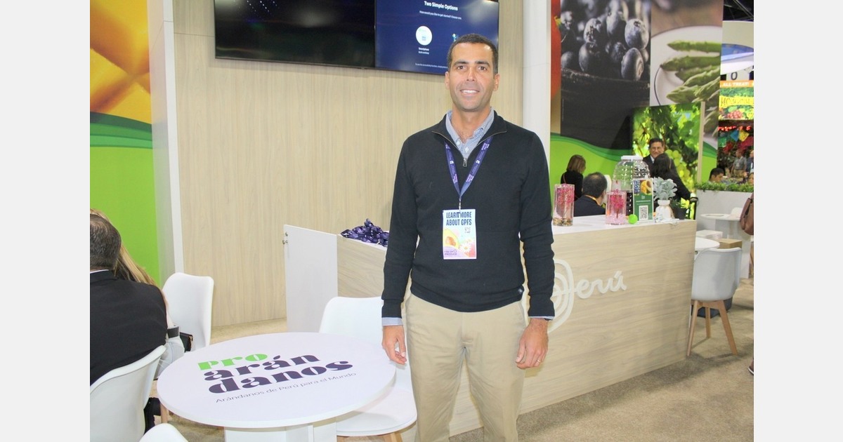 Peru strengthens its world leadership in blueberries and consolidates its expansion in table grapes
