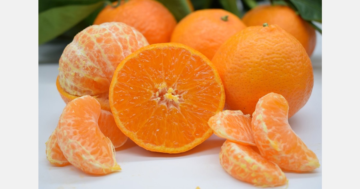 "Citrus production will increase by 10-15% or more"