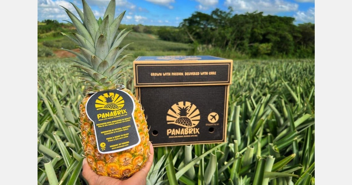 "Air exports offer a chance to differentiate Panamanian pineapple in Europe"