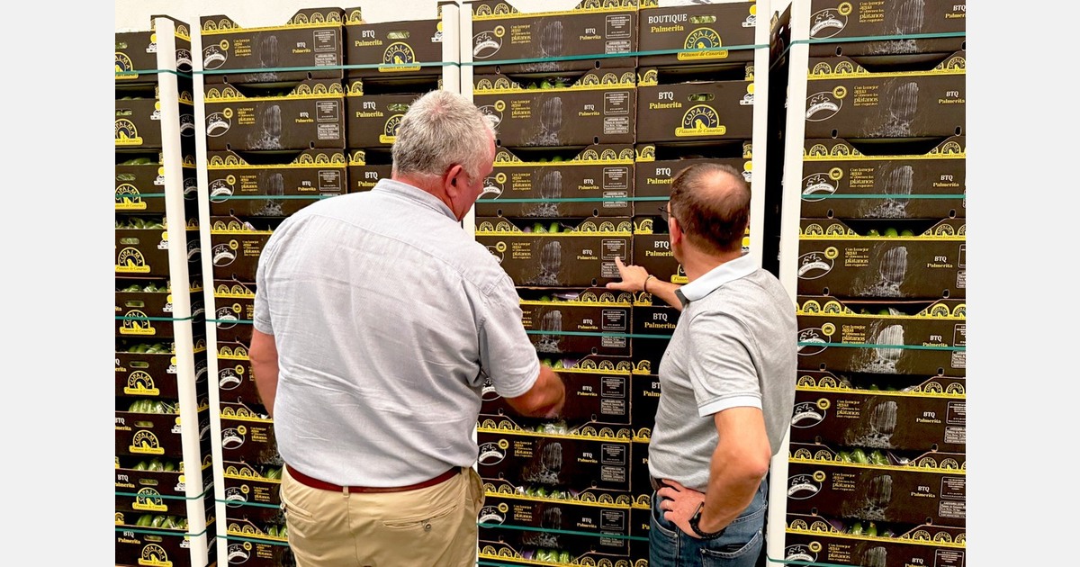 "Expanding banana marketing beyond the mainland has been a historic goal for the Canary Islands"