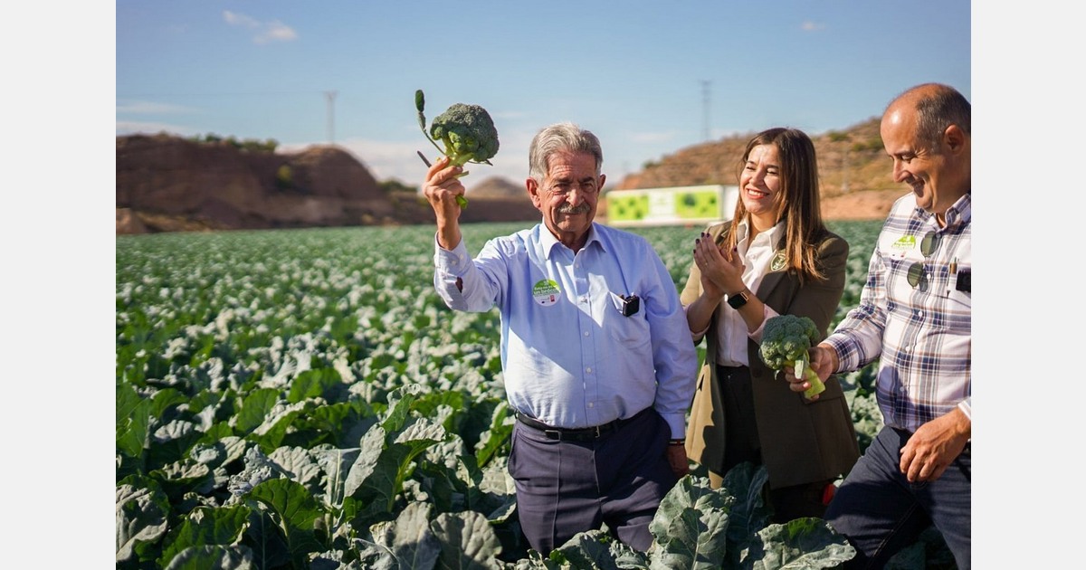 New campaign to promote broccoli consumption in Spain and Germany
