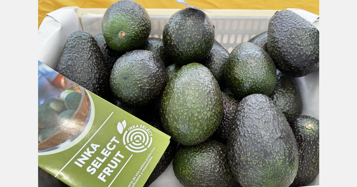 Grapes, pomegranates, and avocados thanks, to the unique South Peruvian climate