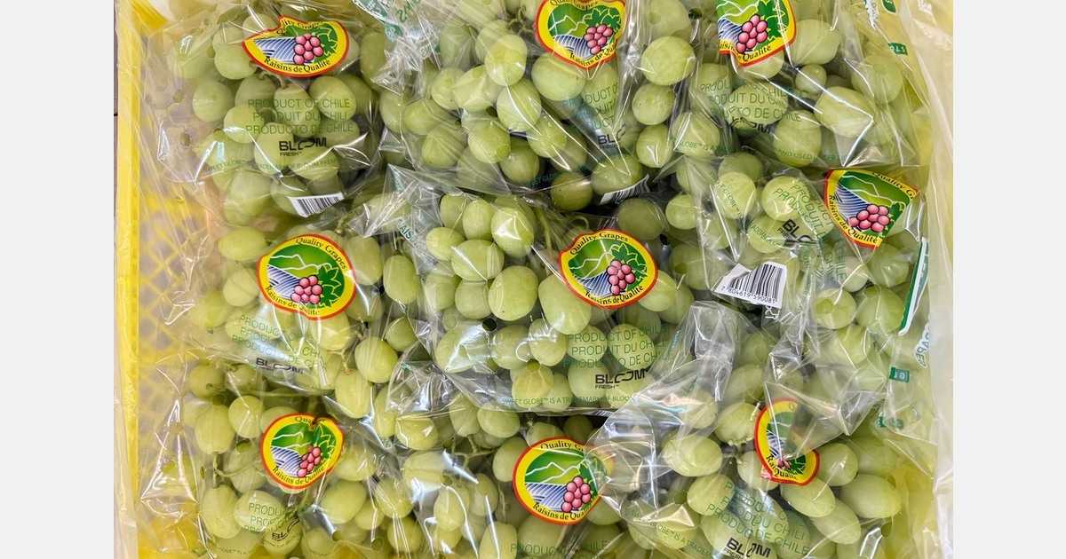 The suspension of the Systems Approach puts pressure on Chilean grapes in the U.S. again