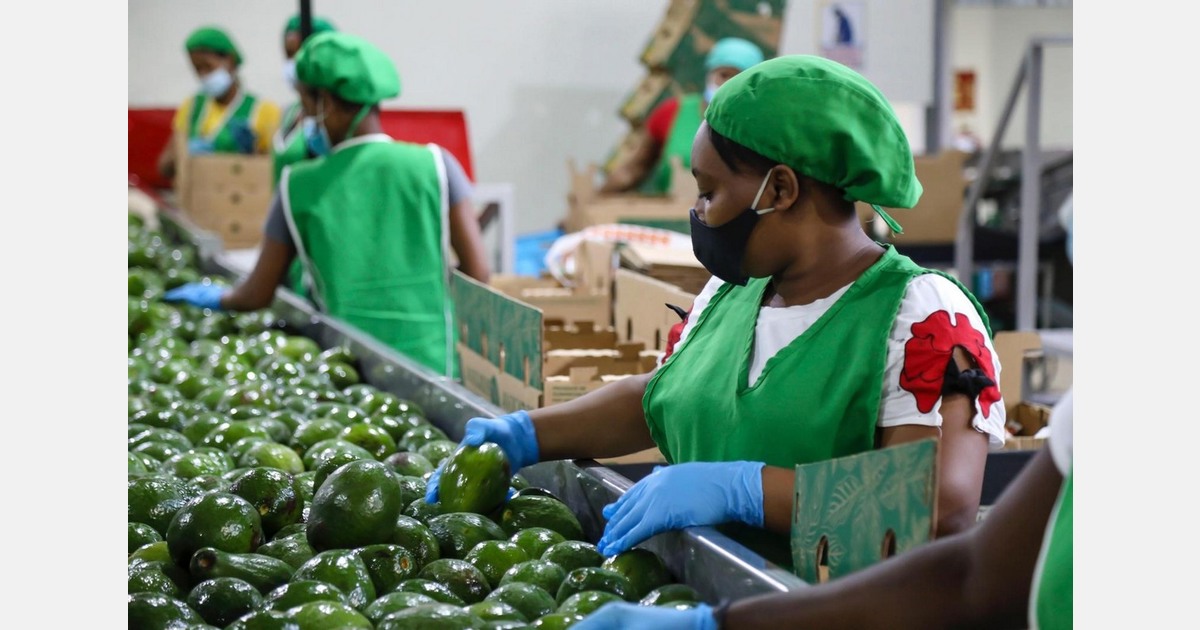 Dominican Republic focuses on the Caribbean and Europe with improved connectivity and new offerings