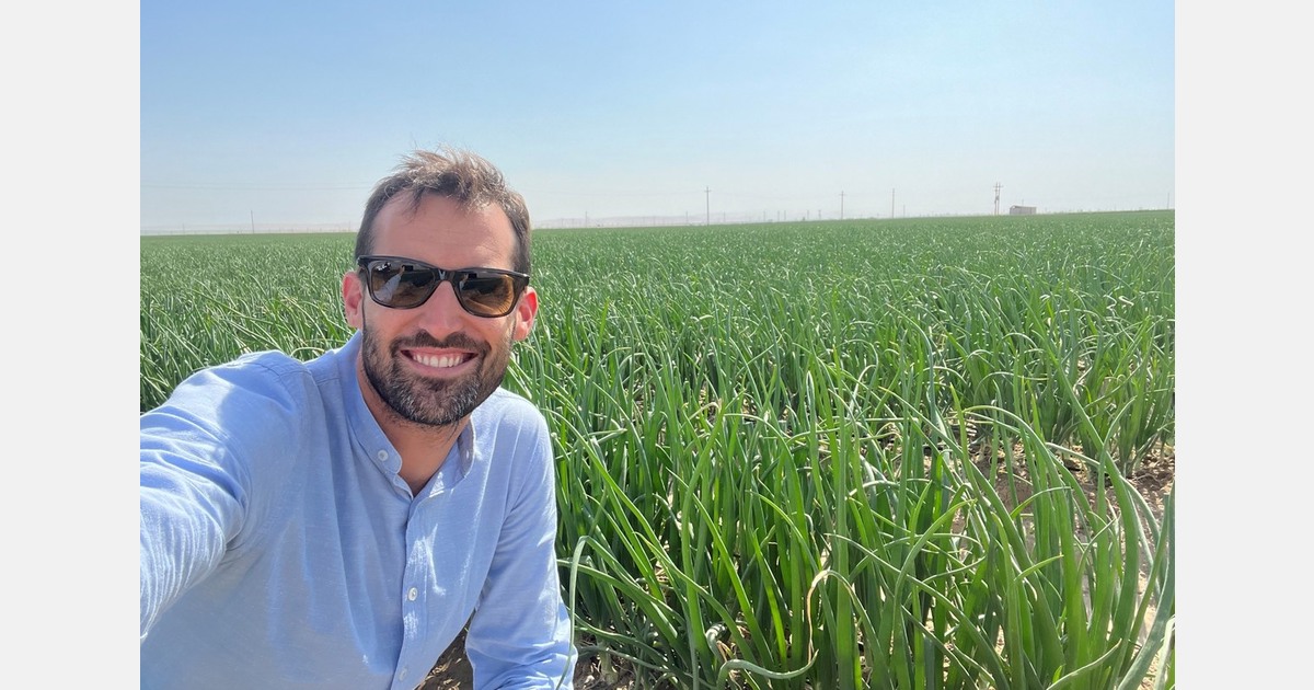 "The future of the onion sector lies in automation and digitalization"