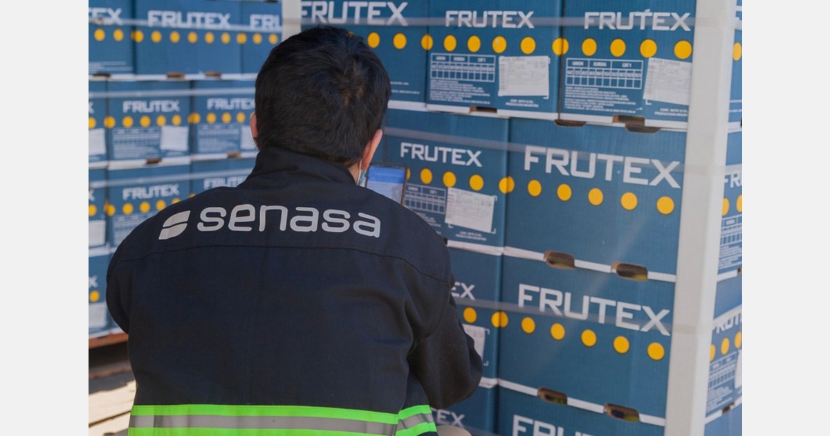 Argentina exported over 100,000 tons of citrus to the EU this season