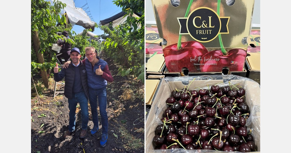 "For the first time in history, Chilean cherries harvested in week 45 will arrive to Europe by sea"