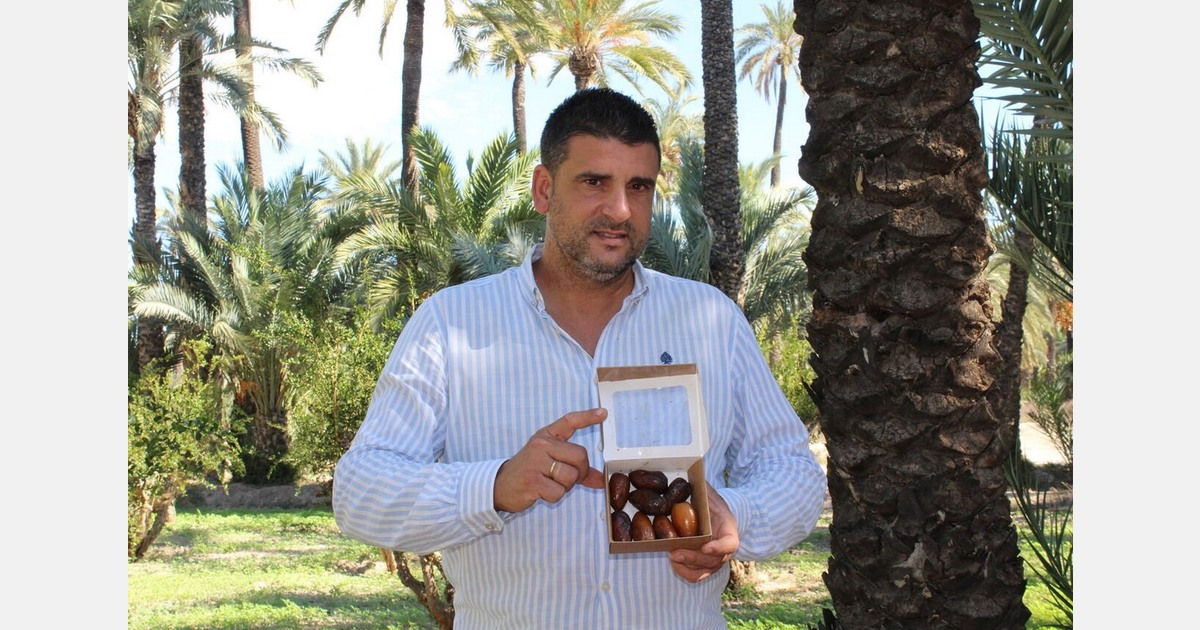"Most dates from Elche are fresh and contain less sugar because they have higher water content"